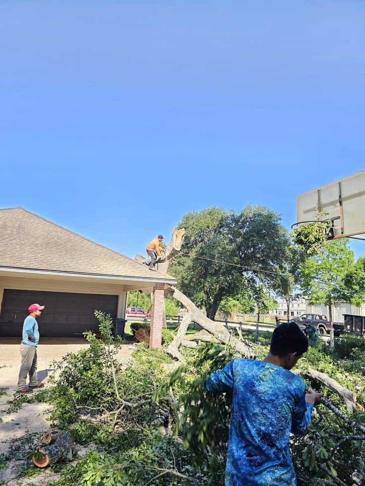 Advance Tree Service LLC team on the job