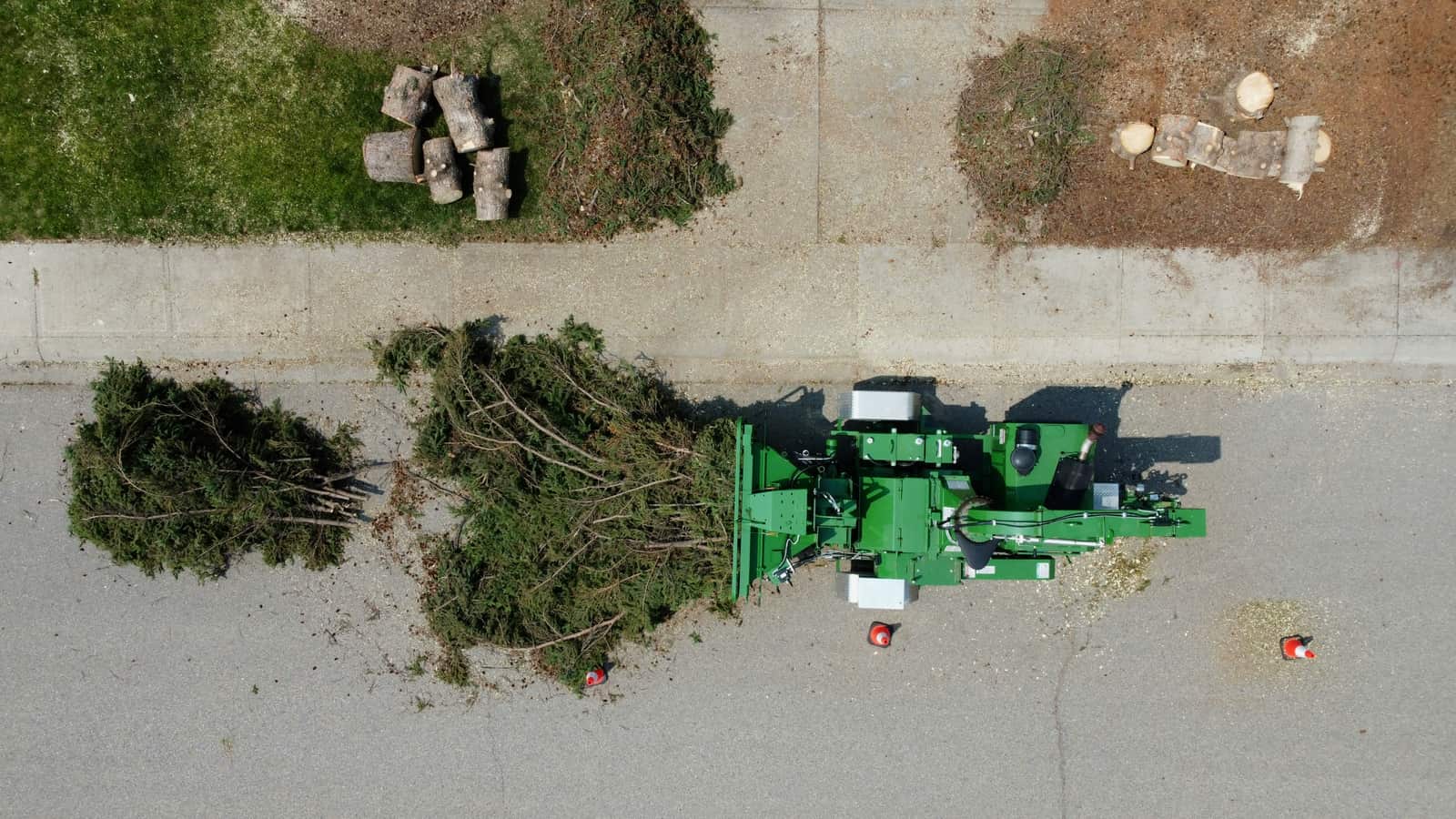 Tree crew working in Charlotte, NC