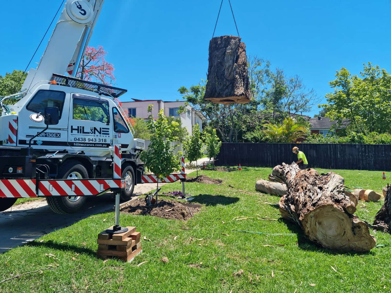 Tree removal project results