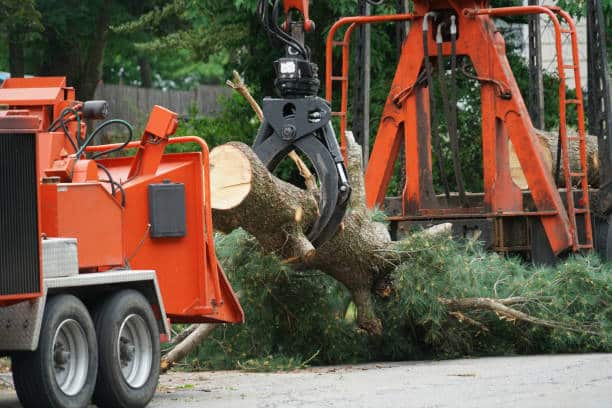 Land clearing and brush removal service in Charlotte, NC